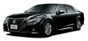 �v���V���X�u���b�N�p�[���@219�@�s�J�s�J���C��