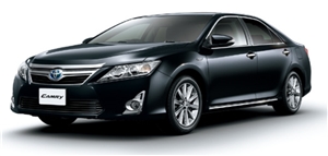 �A�e�B�`���[�h�u���b�N�}�C�J�@218�@�s�J�s�J���C��