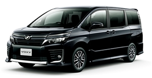 ���H�N�V�[�@�s�J�s�J���C��