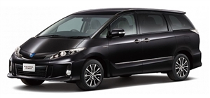 �G�X�e�B�}�n�C�u���b�h�@�s�J�s�J���C��