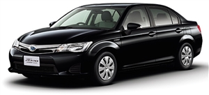 �J���[���A�N�V�I�@�s�J�s�J���C��