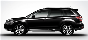 �g�i���S���@���ӂ́@�s�J�s�J���C��