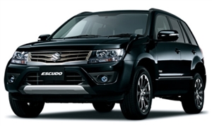 �쑺�M�ہ@���ɂ܂�W���p���@�s�J�s�J���C��