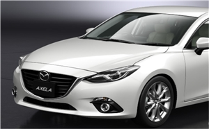 �X�m�[�t���C�N�z���C�g�p�[���}�C�J�@�s�J�s�J���C��