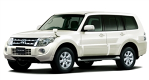 �E�H�[���z���C�g�p�[���@�s�J�s�J���C��