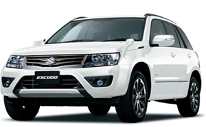 �p�[���z���C�g�@Z7T�@�s�J�s�J���C��