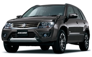 �N�G�[�T�[�O���[���^���b�N�@ZMA�@�s�J�s�J���C��