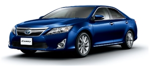 �_�[�N�u���[�}�C�J�@8S6�@�s�J�s�J���C��