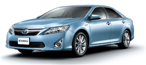 �g�D���[�u���[�}�C�J���^���b�N�@8W1�@�s�J�s�J���C��