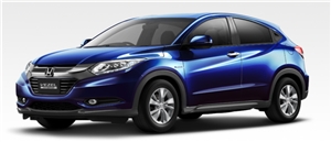 �����t�H�u���[�E�p�[���@�s�J�s�J���C��