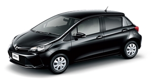 �W���[���j�@MACROMIL MAKE IT 21�@�s�J�s�J���C��