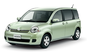 �����ގq�@�����_�t���i�C�g�@�s�J�s�J���C��