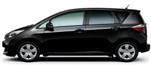 �V�g�E���C�@TOKYO-GRAPH�@�s�J�s�J���C��