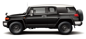 �e�i�N���[�U�[�@�s�J�s�J���C��