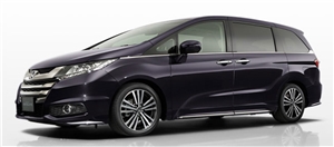 �O���}���X���[�u�E�p�[���@�s�J�s�J���C��