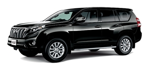 �����h�N���[�U�[�v���h�@�s�J�s�J���C��