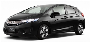 �t�B�b�g�@�s�J�s�J���C��